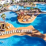 Rosa Oasis Dunas *