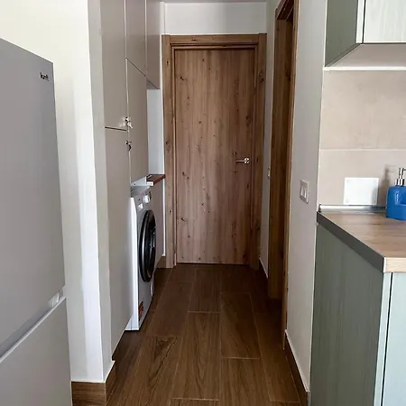 Rosa Oasis Dunas * コラレホ